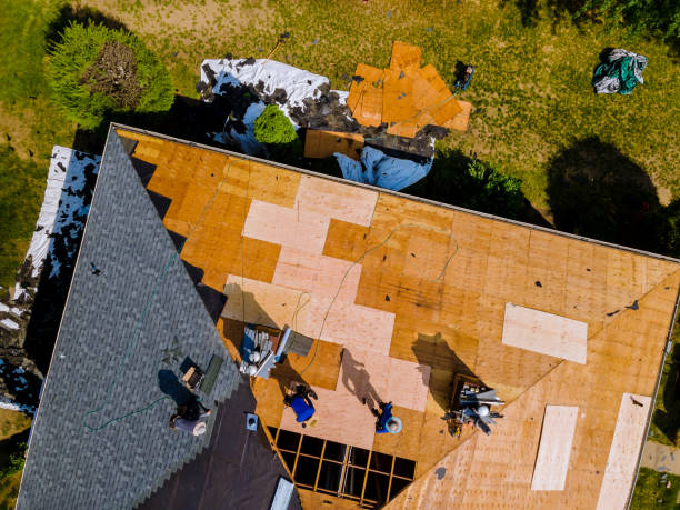 Best Roof Gutter Cleaning  in Saugerties South, NY